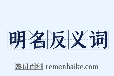 明名反义词是什么意思的图片